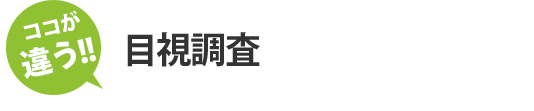 目視調査