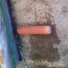 20131028m_24.jpg