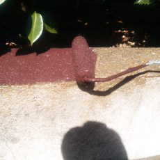 20131028m_25.jpg