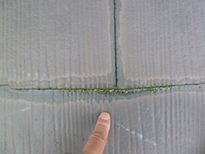 20131028m_be5.jpg