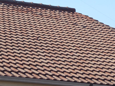 20140419t_be3.jpg