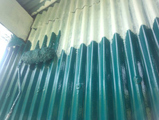 20140605t_08.jpg