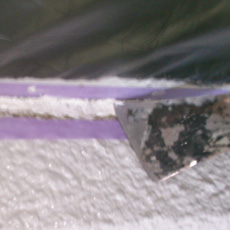 20140930n_13.jpg